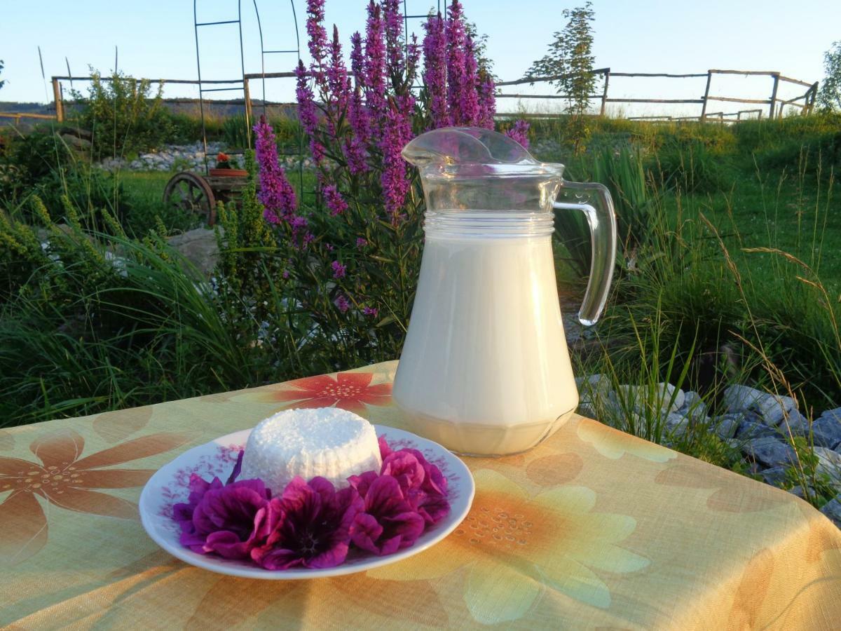 Ferienwohnung Farma Kozi Dvor Rohozna Brezno Exterior foto